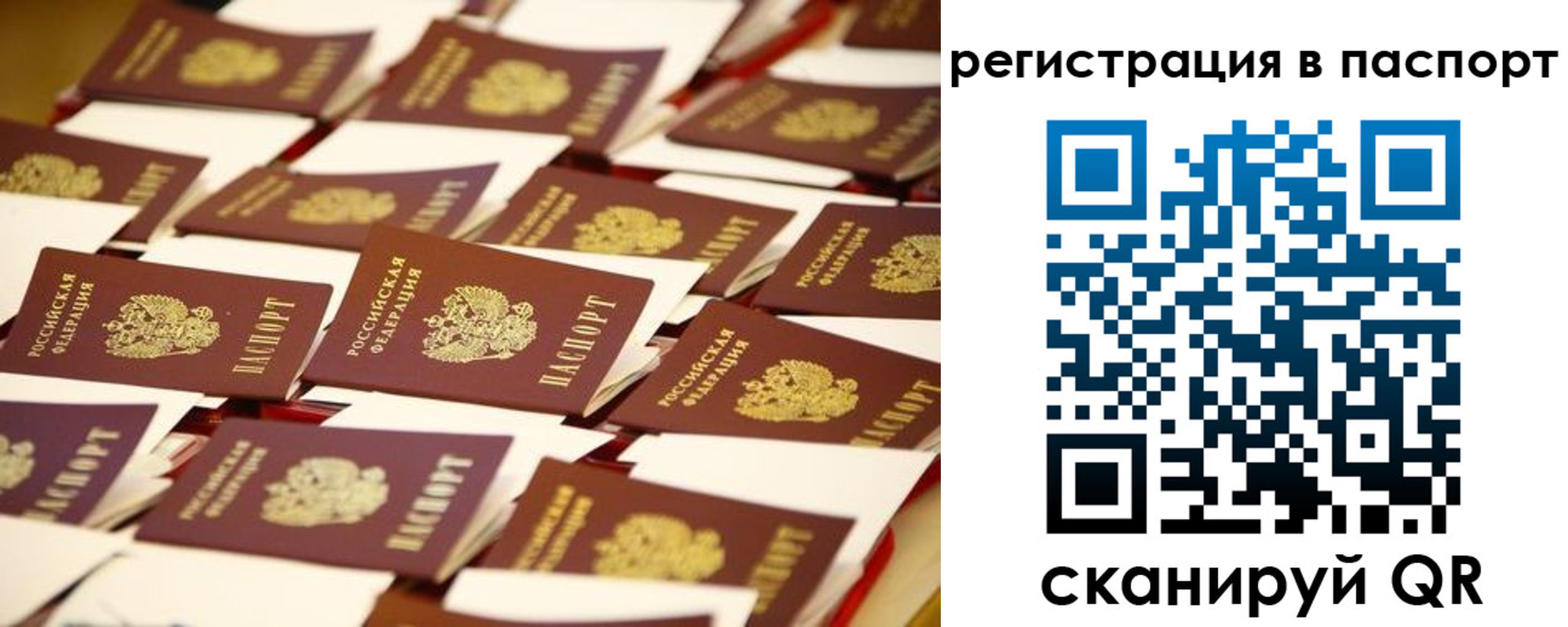 прописка гарантия в Заполярном